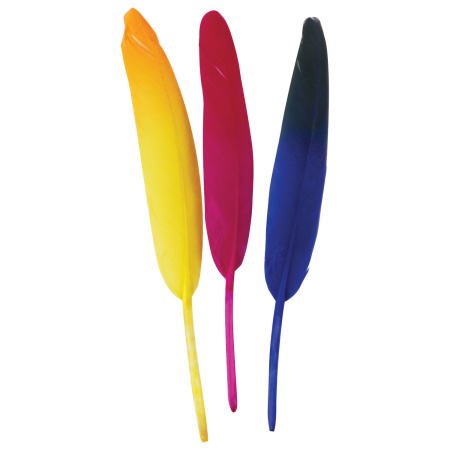 Перья декоративные прямые, 10-15 см, 24 шт., 6 цветов, двухцветные, ассорти, ОСТРОВ СОКРОВИЩ, 661381 - Перья для творчества