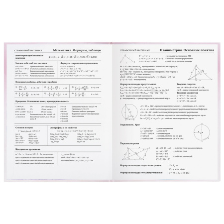 Дневник 1-11 класс 48 л., твердый, BRAUBERG, глянцевая ламинация, с подсказом, "Совушка", 106601 - Дневники для младших классов