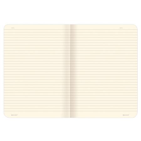 Тетради 60 л. в линию обложка SoftTouch, НАБОР 2 шт., бежевая бумага 70 г/м2, сшивка, B5 (179х250 мм), ВПЕЧАТЛЕНИЕ, BRAUBERG, 403825 - Тетради более 60 листов