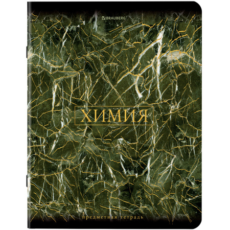 Тетради предметные, КОМПЛЕКТ 12 ПРЕДМЕТОВ, "MARBLE", 48 л., SoftTouch, фольга, BRAUBERG, 404326 - Тетради предметные