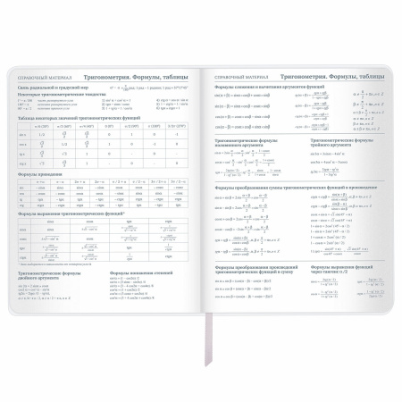 Дневник 1-11 класс 48 л., кожзам (гибкая), печать, фольга, BRAUBERG, "Insight", 106176 - Дневники универсальные