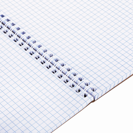 Блокнот БОЛЬШОЙ ФОРМАТ (200х290 мм), А4, 80 л., гребень, картон, УФ-лак, клетка, ПЗБМ, Крафт, 099529 - Блокноты