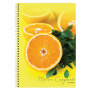 Тетрадь А4, 80 л., BRAUBERG, гребень, клетка, обложка картон, "Фрукты", 404051 - Тетради формата А4