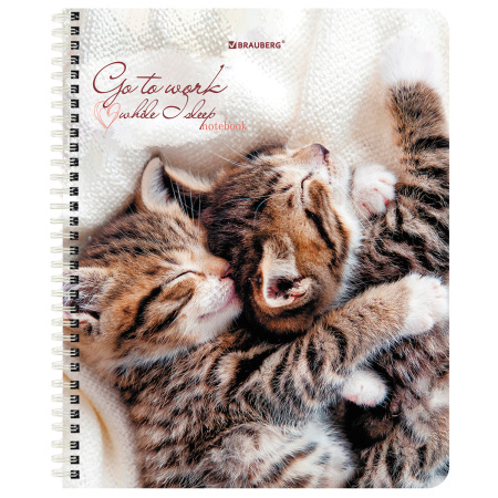 Тетрадь А5, 96 л., BRAUBERG, гребень, клетка, обложка картон, "Котики" (микс в спайке), 404425 - Тетради более 60 листов