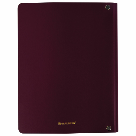 Тетрадь на кольцах А5 (180х220 мм), 80 листов, под кожу, клетка, тиснение фольгой, BRAUBERG VISTA, Rose, 112125 - Тетради на кольцах и сменные блоки к ним