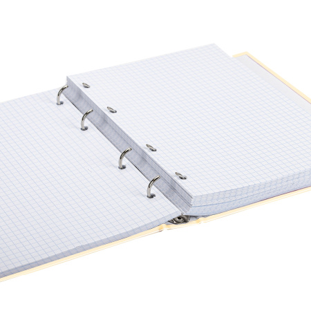 Тетрадь на кольцах А5 (175х215 мм), 240 листов, твердый картон, клетка, BRAUBERG, Miracle, 404093 - Тетради на кольцах и сменные блоки к ним