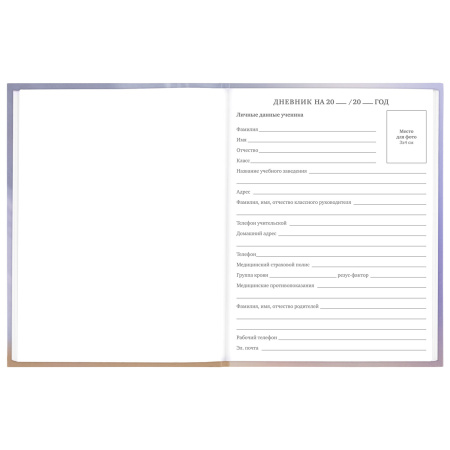 Дневник 1-11 класс 48 л., твердый, BRAUBERG, блестки, с подсказом, "Корги", 106607 - Дневники для младших классов