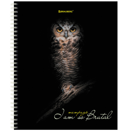 Тетрадь А5 96 л. BRAUBERG, гребень, клетка, твёрдая обложка, "Совы" (4 вида в спайке), 404443 - Тетради более 60 листов