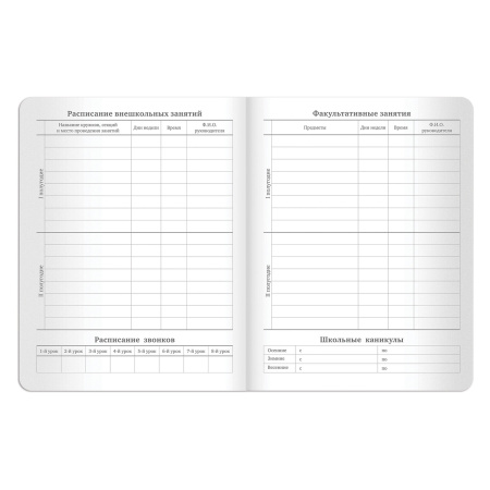 Дневник 1-11 класс 48 л., кожзам (гибкая), термотиснение, BRAUBERG "LATTE", зеленый, 105436 - Дневники универсальные