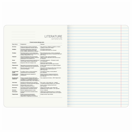 Тетрадь предметная "ELEGANCE" 48 л., SoftTouch, фольга, ЛИТЕРАТУРА, линия, BRAUBERG, 404552 - Тетради предметные