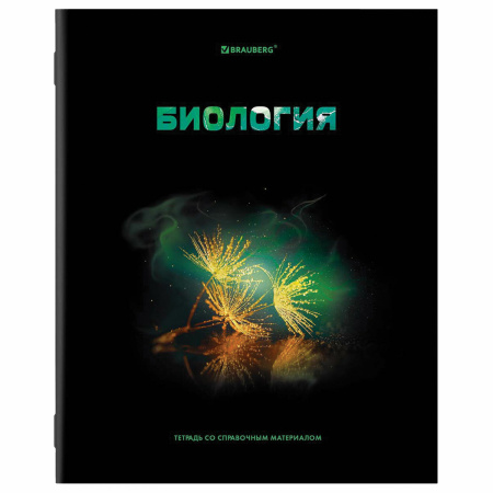 Тетради предметные, КОМПЛЕКТ 12 ПРЕДМЕТОВ, "SHADE", 48 л., глянцевый УФ-лак, BRAUBERG, 404324 - Тетради предметные