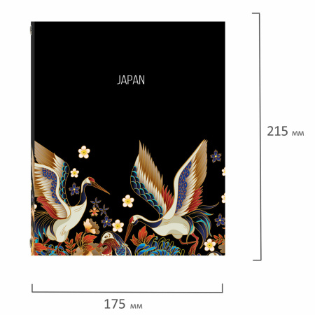 Тетрадь на кольцах А5 (175х215 мм), 240 листов, твердый картон, клетка, BRAUBERG, Идиллия, 404095 - Тетради на кольцах и сменные блоки к ним