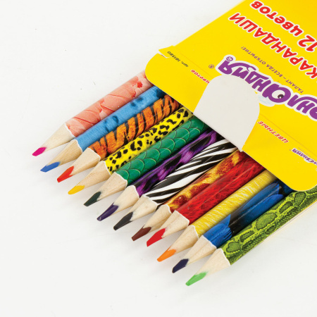 Карандаши цветные мягкие ЮНЛАНДИЯ "САФАРИ", 12 цветов, корпус с печатью, трехгранные, с раскраской, 181580 - Карандаши цветные