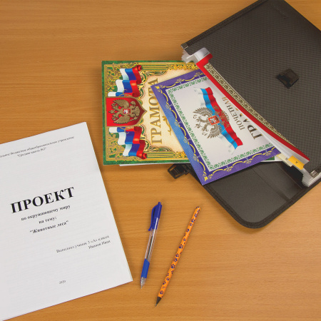 Папка для бумаг и документов с замком и 13 отделениями BRAUBERG "HIT", А4, пластик, черная, 229572 - Папки пластиковые с отделениями