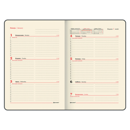 Еженедельник датированный 2024 А5 145х215 мм, BRAUBERG "Iguana", под кожу, черный, 115024 - Еженедельники