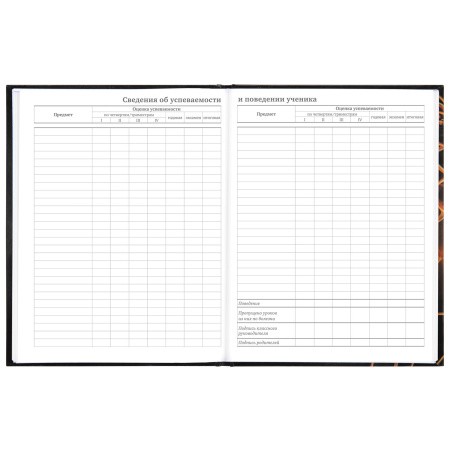 Дневник МП 1-11 класс 48 л., твердый, BRAUBERG, глянцевая ламинация, с подсказом, "Футбол", 106644 - Дневники универсальные