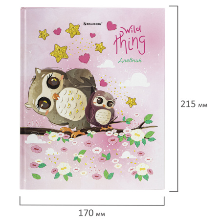 Дневник 1-11 класс 48 л., твердый, BRAUBERG, глянцевая ламинация, с подсказом, "Совушка", 106601 - Дневники для младших классов