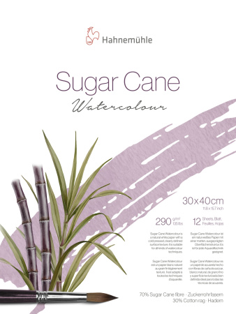 Альбом склейка для акварели SugarCane, 290г, 30х40, 12 листов, среднее зерно