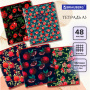 Тетрадь А5, 48 л., BRAUBERG, скоба, клетка, матовая ламинация, выборочный лак, "Гранаты" (микс в спайке), 404376 - Тетради 40-48 листов