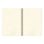 Скетчбук, слоновая кость 150 г/м2, 210х297 мм, 30 л., гребень, BRAUBERG ART CLASSIC, 128947 - Альбомы, скетчбуки и бумага для графики и эскизов