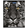 Тетрадь А5, 48 л., BRAUBERG скоба, клетка, обложка картон, ДИКИЕ И СВОБОДНЫЕ, 1 шт, 401810 - Тетради 40-48 листов