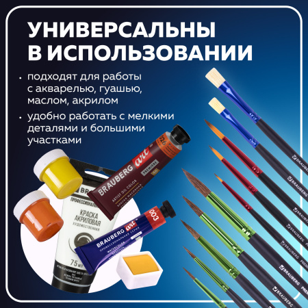 Кисти BRAUBERG PREMIUM, набор 10 шт. (круглые пони - 5 шт., синтетика - 3 шт., плоские щетина - 2 шт.), блистер, 201023 - Кисти для рисования