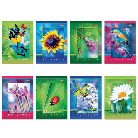 Блокнот МАЛЫЙ ФОРМАТ А6 124х144 мм, 48 л., скоба, мелованная картонная обложка, клетка, HATBER, "Живые моменты", 48Б6B1, B136447 - Блокноты