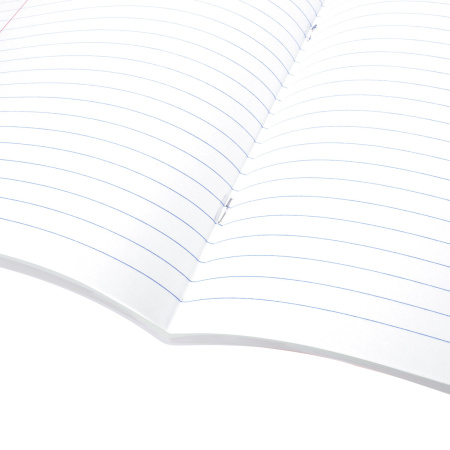 Тетрадь предметная "AVOCADO" 48 л., глянцевый лак, ЛИТЕРАТУРА, линия, подсказ, BRAUBERG, 404281 - Тетради предметные