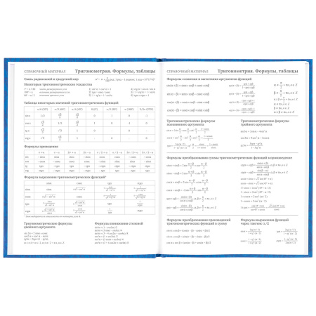 Дневник 5-11 класс 48 л., твердый, BRAUBERG, фольга, с подсказом, "Football", 106416 - Дневники для старших классов