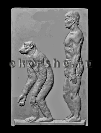 Шимпанзе и Человек 28,5*44*3 (80-855)