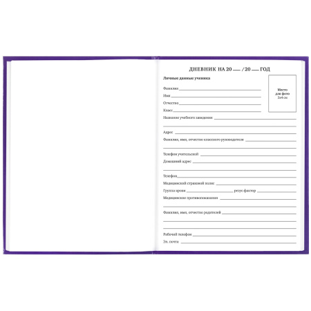 Дневник 1-11 класс 40 л., твердый, BRAUBERG, глянцевая ламинация, "Funny Food", 106620 - Дневники универсальные