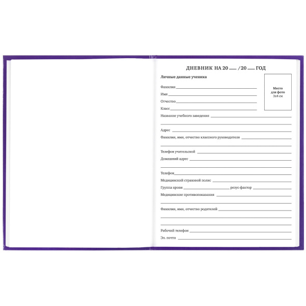 Дневник 1-11 класс 40 л., твердый, BRAUBERG, глянцевая ламинация, "Funny Food", 106620 - Дневники универсальные