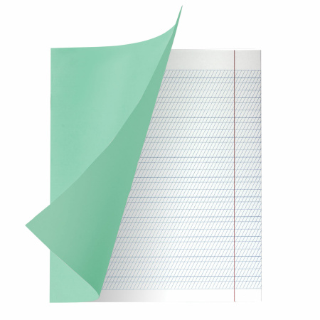 Тетради 12 л. КОМПЛЕКТ 20 шт. BRAUBERG "ВЕЛИКИЕ ИМЕНА", частая косая С ДОПОЛНИТЕЛЬНОЙ ГОРИЗОНТАЛЬНОЙ, 80 г/м,880022 - Тетради 12-24 листов