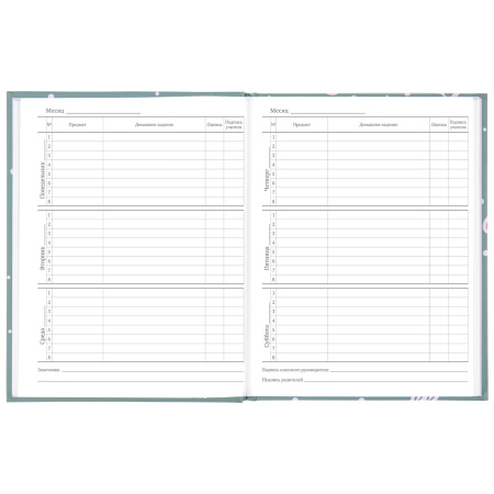 Дневник 5-11 класс 48 л., твердый, BRAUBERG, блестки, с подсказом, "Кактусы", 106420 - Дневники для старших классов