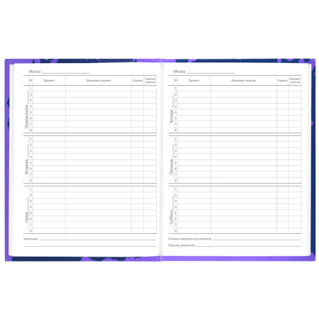 Дневник 5-11 класс 48 л., твердый, BRAUBERG, глянцевая ламинация, с подсказом, "Приставка", 106629 - Дневники для старших классов