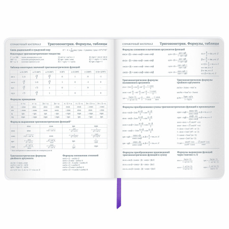 Дневник 1-11 класс 48 л., кожзам (гибкая), термотиснение, фольга, BRAUBERG, "Panda", 106171 - Дневники универсальные