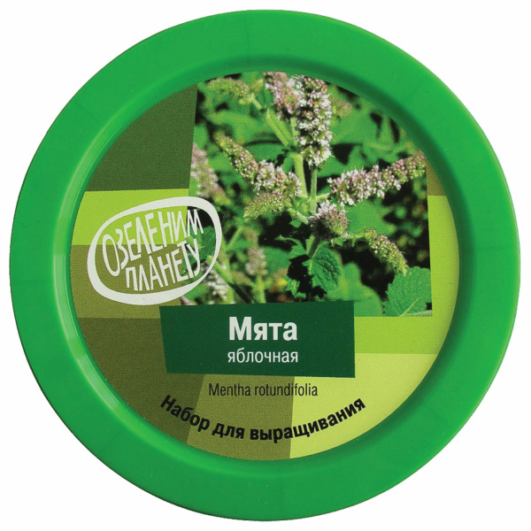 Набор для выращивания растений ВЫРАСТИ ДЕРЕВО! "Мята яблочная" (банка, грунт, семена), zk-093 - Наборы для выращивания растений