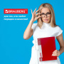 Папка 60 вкладышей BRAUBERG стандарт, красная, 0,8 мм, 228683 - Папки с вкладышами (файлами)