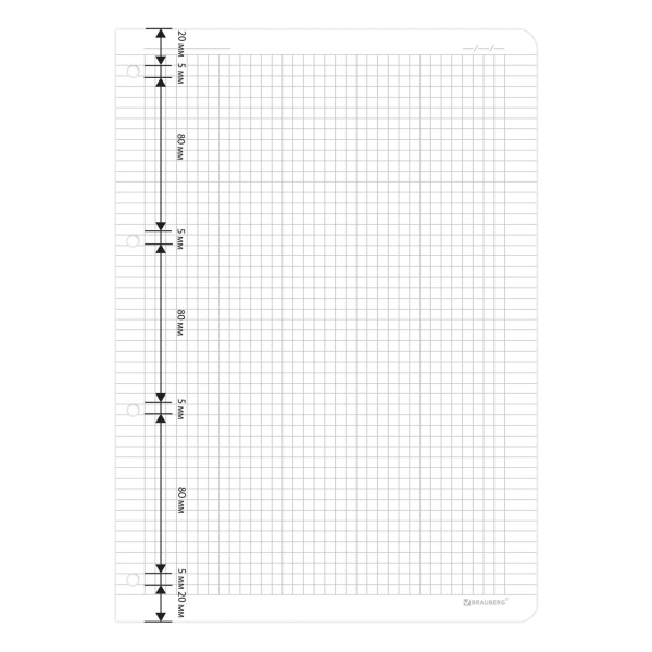 Сменный блок для тетради на кольцах БОЛЬШОЙ ФОРМАТ А4 120 л., BRAUBERG, ПОВЫШЕННОЙ ПЛОТНОСТИ, белый, 404516 - Тетради на кольцах и сменные блоки к ним