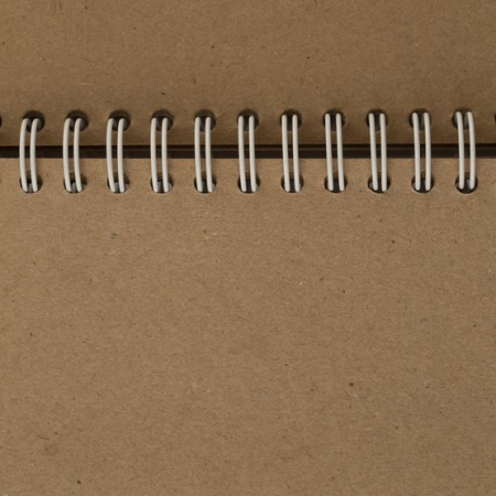 Скетчбук для графики Сонет на спирали Цветочное вдохновение, 78 г/м2, 100 % целлюлоза, 30 листов, крафт бумага - Альбомы, скетчбуки и бумага для графики и эскизов