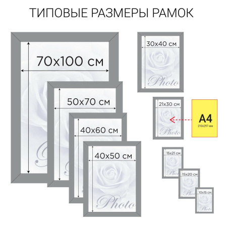 Рамка премиум 40х50 см, дерево, багет 26 мм, "Berta", орех, 0006-16-0006 - Рамки для дипломов, сертификатов, грамот, фотографий
