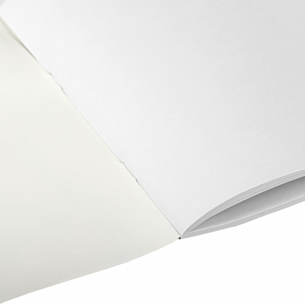 Альбом для рисования А4 20 л., скоба, обложка офсет, ПИФАГОР, 203х288 мм, "Детки", 1 шт, 106690 - Альбомы и папки для рисования