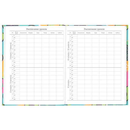 Дневник 5-11 класс 48 л., твердый, BRAUBERG, блестки, с подсказом, "Avocado", 106419 - Дневники для старших классов