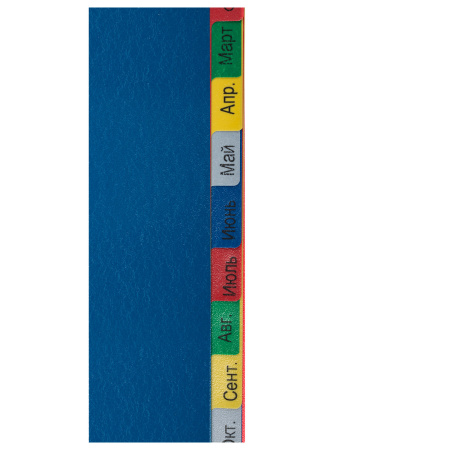 Разделитель пластиковый широкий BRAUBERG, А4+, 12 листов, Январь-Декабрь, оглавление, цветной, 225625 - Разделители