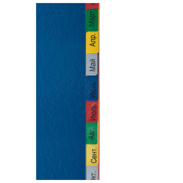 Разделитель пластиковый широкий BRAUBERG, А4+, 12 листов, Январь-Декабрь, оглавление, цветной, 225625 - Разделители