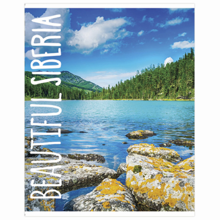 Тетрадь А5, 48 л., BRAUBERG, скоба, линия, обложка картон, МИКС, 403040 - Тетради 40-48 листов