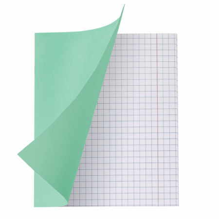 Тетради 12 л. КОМПЛЕКТ 20 шт. BRAUBERG ВЕЛИКИЕ ИМЕНА АРХИМЕД, крупная клетка, бумага 80 г/м2, 880023 - Тетради 12-24 листов