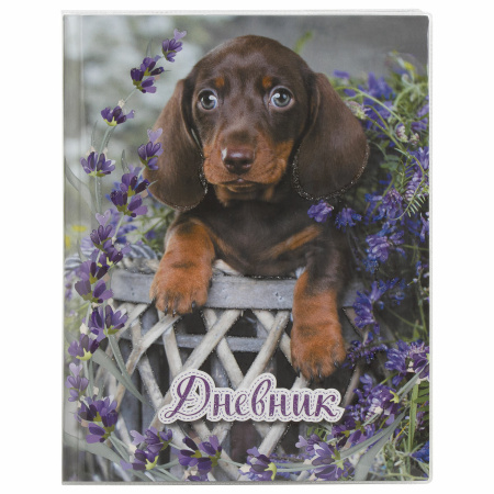 Обложка ПП 220х460 мм для дневников, учебников, прописей, ПИФАГОР, универсальная, КЛЕЙКИЙ КРАЙ, 80 мкм, штрих-код, 229346 - Обложки для книг, тетрадей и журналов