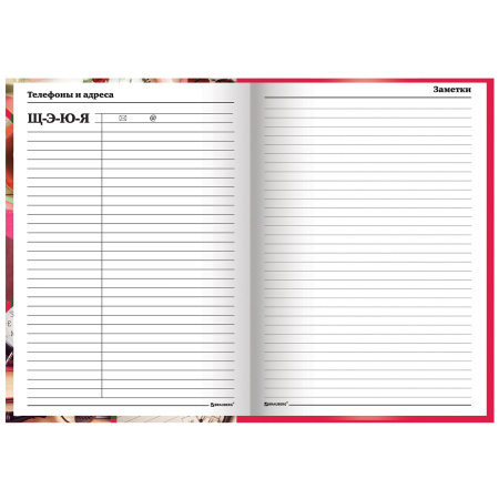 Ежедневник учителя специализированный А5 (215х145 мм), твердая обложка, 144 л., BRAUBERG, "АКСЕССУАРЫ", 129232 - Ежедневники с твердой обложкой