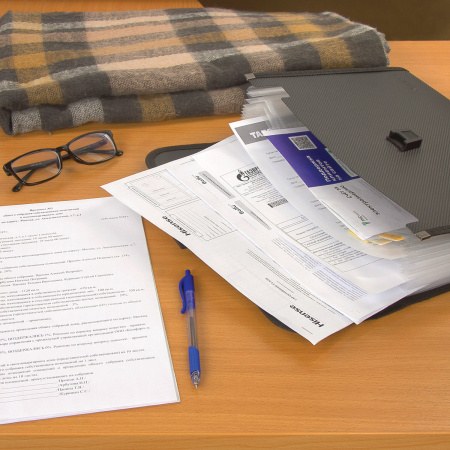 Папка для бумаг и документов с замком и 13 отделениями BRAUBERG "HIT", А4, пластик, черная, 229572 - Папки пластиковые с отделениями